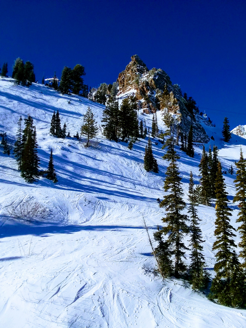 Some decent stuff up top. Views were spectacular and in the right sunlight, the snow was very good despite the thin cover.